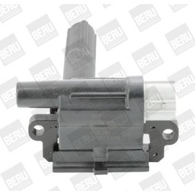 Kühlerlüfter LE027 von BERU günstig für 196,70 € online kaufen