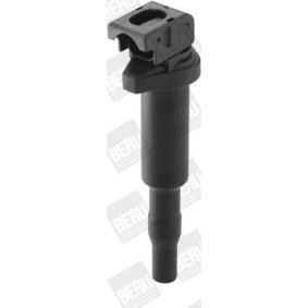 Kühlerlüfter LE076 von BERU günstig für 119,78 € online kaufen