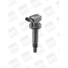 Kühlerlüfter LE521 von BERU günstig für 230,05 € online kaufen