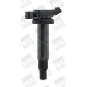 Kühlerlüfter LE531 von BERU günstig für 168,19 € online kaufen