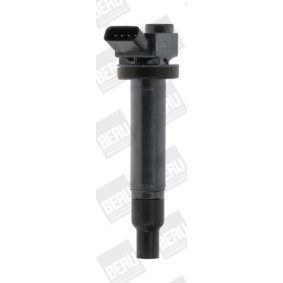 Kühlerlüfter LE534 von BERU günstig für 421,70 € online kaufen