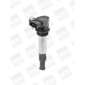 Kühlerlüfter LE536 von BERU günstig für 243,09 € online kaufen