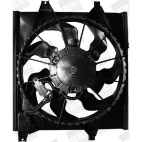 Kühlerlüfter LE668 von BERU günstig für 124,23 € online kaufen