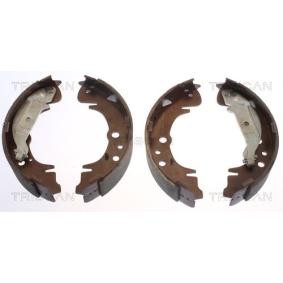 Bremsbackensatz 8100 10019 von TRISCAN günstig für 61,71 € online kaufen