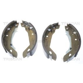 Bremsbackensatz 8100 10389 von TRISCAN günstig für 32,72 € online kaufen