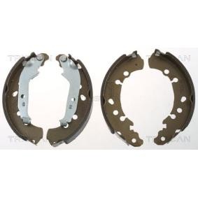 Bremsbackensatz 8100 13048 von TRISCAN günstig für 46,40 € online kaufen