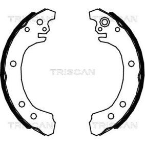 Bremsbackensatz 8100 13049 von TRISCAN günstig für 28,78 € online kaufen