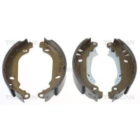 Bremsbackensatz 8100 25637 von TRISCAN günstig für 31,06 € online kaufen