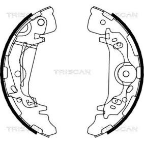 Bremsbackensatz 8100 43017 von TRISCAN günstig für 114,18 € online kaufen