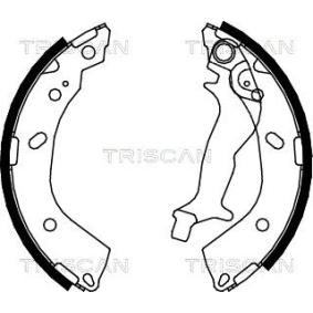 Bremsbackensatz 8100 43018 von TRISCAN günstig für 30,60 € online kaufen