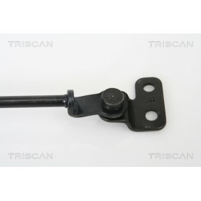 Bremsbeläge 8110 24008 von TRISCAN günstig für 20,23 € online kaufen
