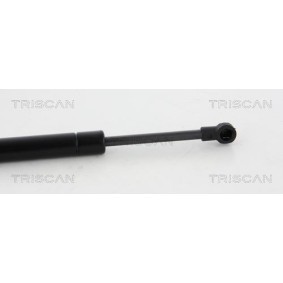 Bremsbeläge 8110 25025 von TRISCAN günstig für 27,65 € online kaufen