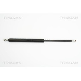 Bremsbeläge 8110 28010 von TRISCAN günstig für 25,07 € online kaufen