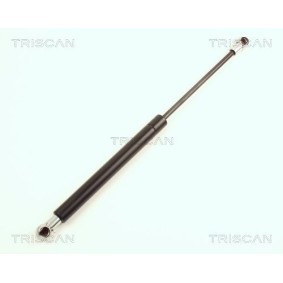Bremsbeläge 8110 29066 von TRISCAN günstig für 25,08 € online kaufen
