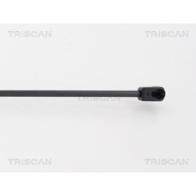 Bremsbeläge für SUBARU von TRISCAN