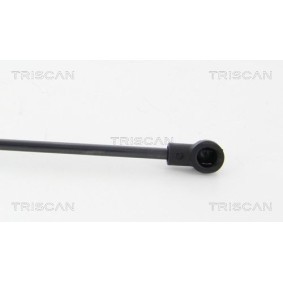 Bremsbeläge für SUBARU von TRISCAN