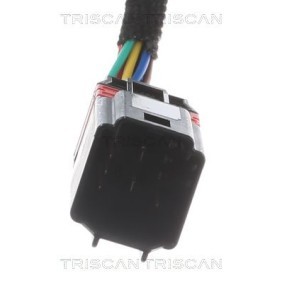 Bremsscheibe 8120 10179 von TRISCAN günstig für 36,54 € online kaufen