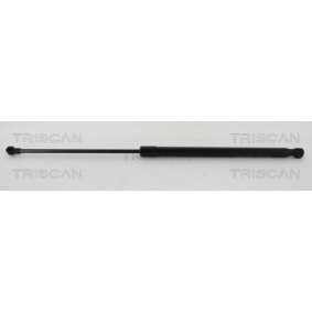 Bremsscheibe 8120 11119 von TRISCAN günstig für 46,19 € online kaufen