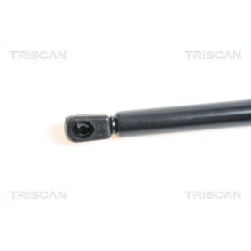 Bremsscheibe 8120 11128 von TRISCAN günstig für 40,28 € online kaufen