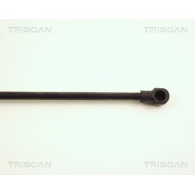 Bremsscheibe 8120 11134 von TRISCAN günstig für 23,16 € online kaufen