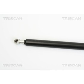 Bremsscheibe für BMW von TRISCAN