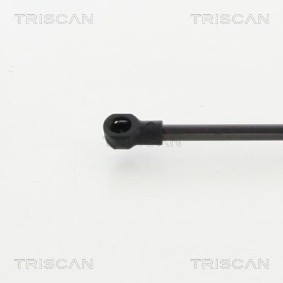 Bremsscheibe 8120 11157 von TRISCAN günstig für 38,82 € online kaufen