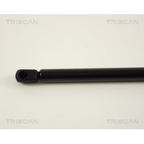Bremsscheibe für SUBARU von TRISCAN