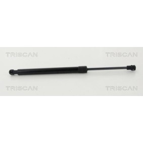 Bremstrommel für NISSAN von TRISCAN
