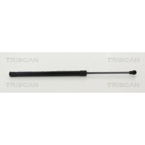 Bremstrommel 8120 14214 von TRISCAN günstig für 53,04 € online kaufen