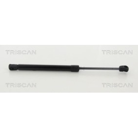 Bremsscheibe für FORD von TRISCAN