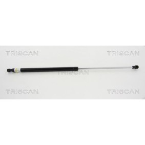 Bremsscheibe für FORD von TRISCAN