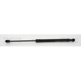 Bremsscheibe 8120 16138 von TRISCAN günstig für 36,74 € online kaufen