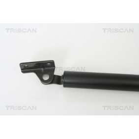 Bremsscheibe 8120 16139 von TRISCAN günstig für 26,63 € online kaufen