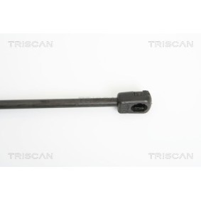 Bremsscheibe 8120 16144 von TRISCAN günstig für 28,67 € online kaufen