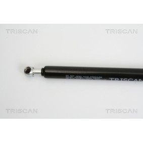 Bremsscheibe 8120 16146 von TRISCAN günstig für 44,81 € online kaufen