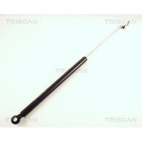 Bremsscheibe für FORD von TRISCAN