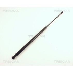 Bremsscheibe 8120 16162 von TRISCAN günstig für 33,67 € online kaufen