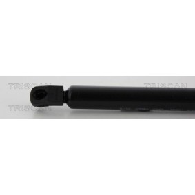 Bremsscheibe 8120 21111 von TRISCAN günstig für 32,84 € online kaufen