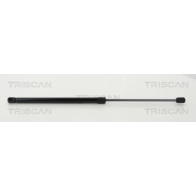 Bremsscheibe 8120 21113 von TRISCAN günstig für 51,62 € online kaufen