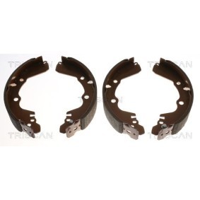 Bremsscheibe 8120 25109 von TRISCAN günstig für 27,65 € online kaufen