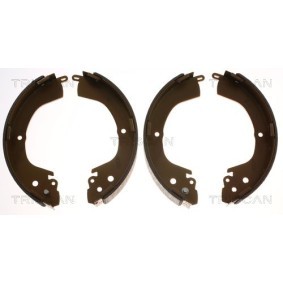 Bremsscheibe 8120 25110 von TRISCAN günstig für 33,34 € online kaufen