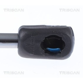 Bremsscheibe 8120 25120 von TRISCAN günstig für 28,28 € online kaufen