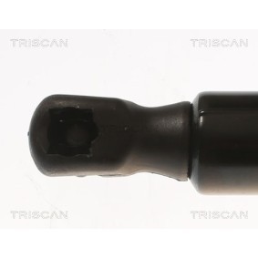 Bremsscheibe für RENAULT von TRISCAN