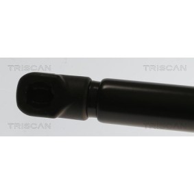 Bremsscheibe für RENAULT von TRISCAN
