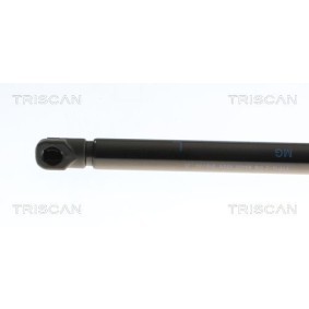 Bremsscheibe für RENAULT von TRISCAN