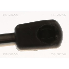 Bremsscheibe für RENAULT von TRISCAN