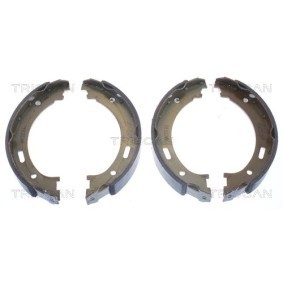 Bremsscheibe 8120 25156 von TRISCAN günstig für 57,88 € online kaufen