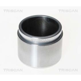 Acquista Pistoncino pinza freno da TRISCAN 8170 232142 a buon mercato per soli 31,28 €