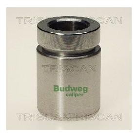Kolben, Bremssattel 8170 233413 von TRISCAN günstig für 14,47 € online kaufen