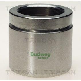 Kolben, Bremssattel 8170 235705 von TRISCAN günstig für 29,47 € online kaufen